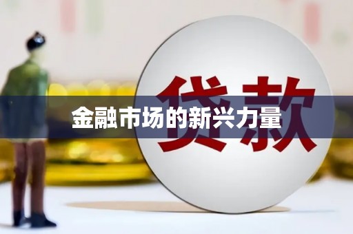 黔东金融市场的新兴力量